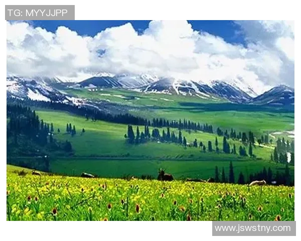 哈密足球明星全景盘点及其辉煌成就与历史回顾